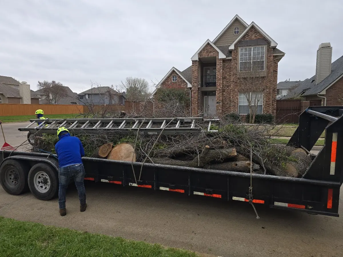 Expert Lot Clearing with proper safety equipment in Lapoint